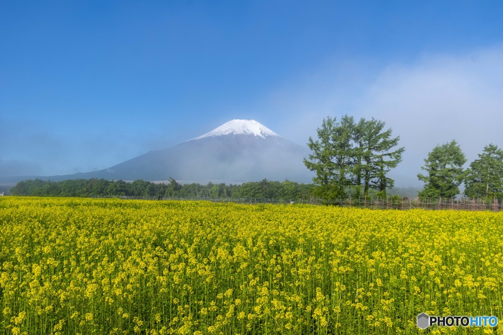 霧開けて