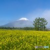 霧開けて