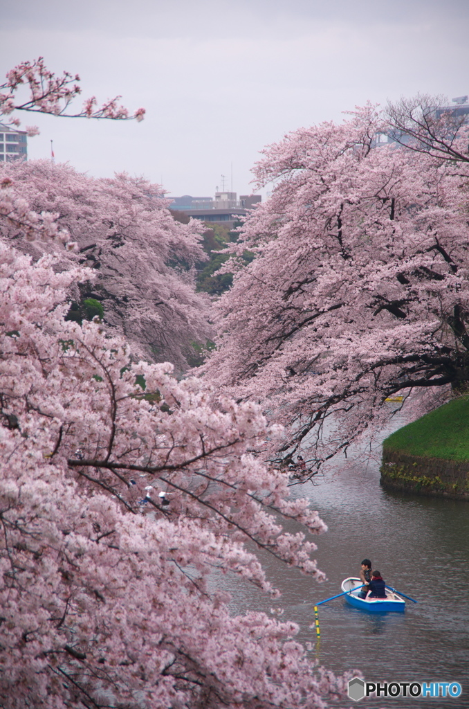 「桜キレイね」「桜より、君の方がキレイだよ」