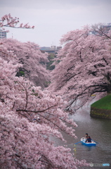 「桜キレイね」「桜より、君の方がキレイだよ」