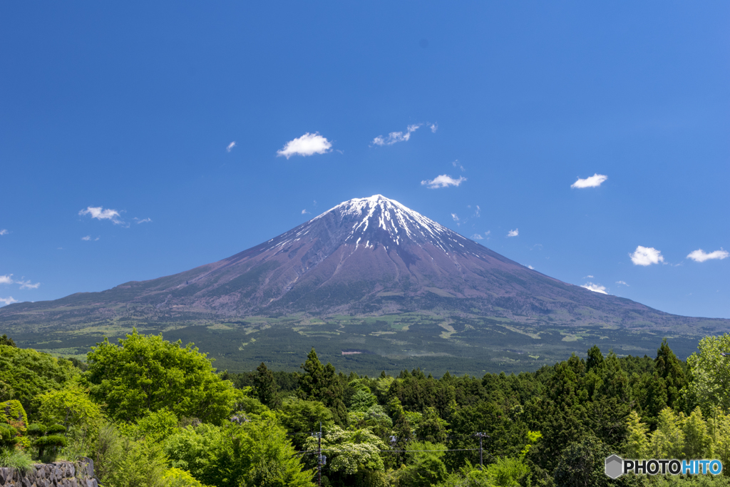 初夏の装い