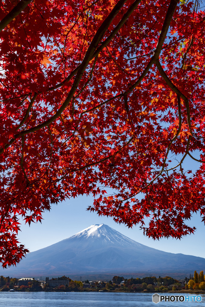 2025河口湖紅葉４