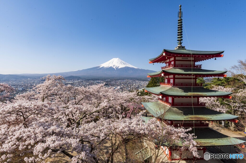 2022新倉山浅間公園
