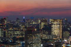新宿方面の夕景