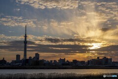 バレンタインの夕焼け