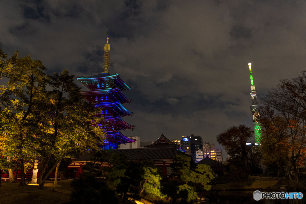 浅草カルチャー＆ライツ３