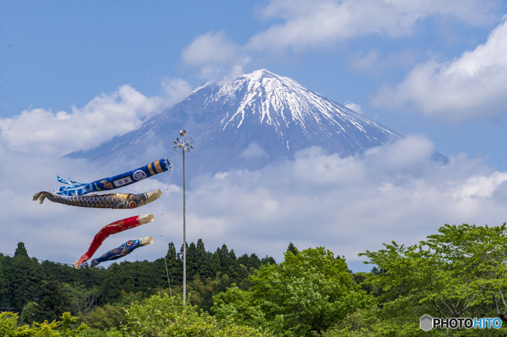 五月空に泳ぐ２