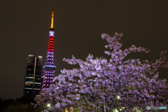 日本応援　日の丸カラー