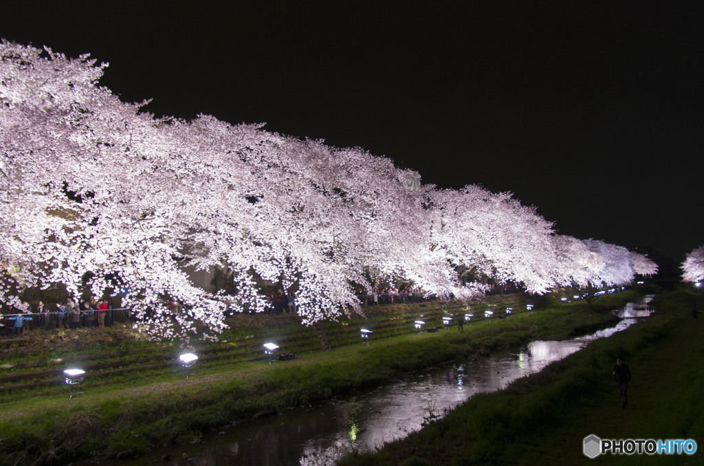 夢夜の一時