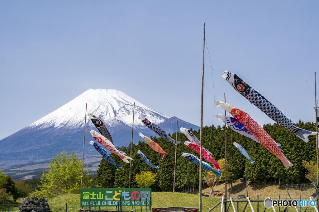 5月5日
