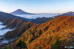 紅葉と雲海