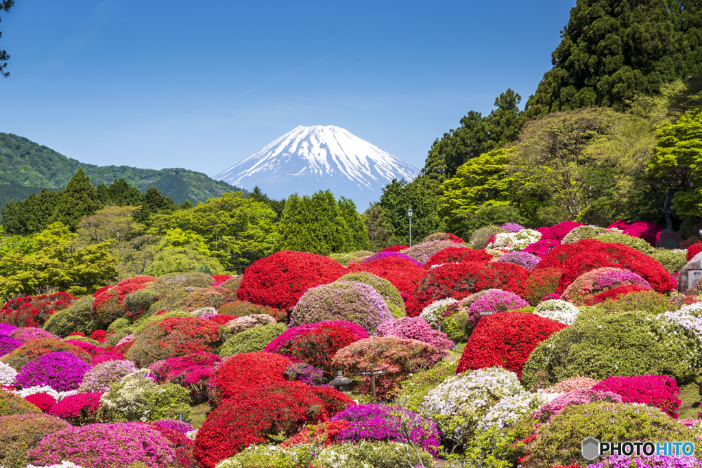 山のホテル