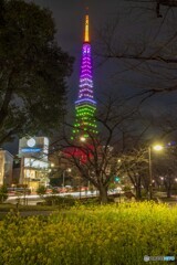 雛祭りカラー
