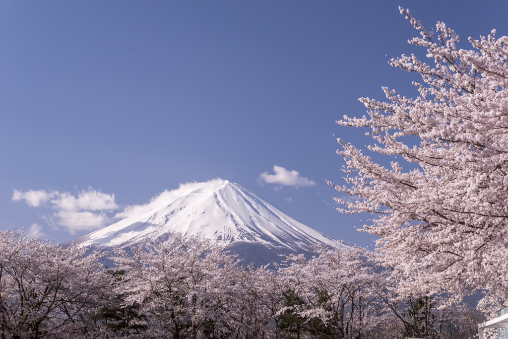 駆け抜けた春