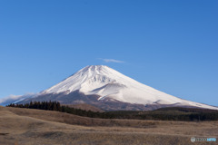 裾野市から富士山