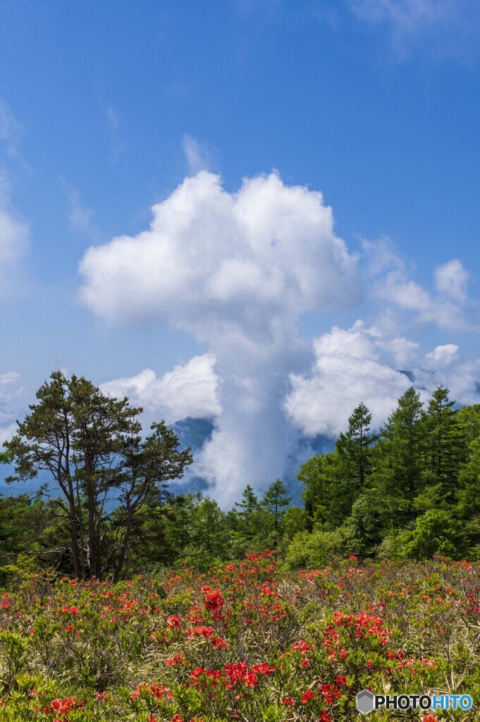 キノコ雲