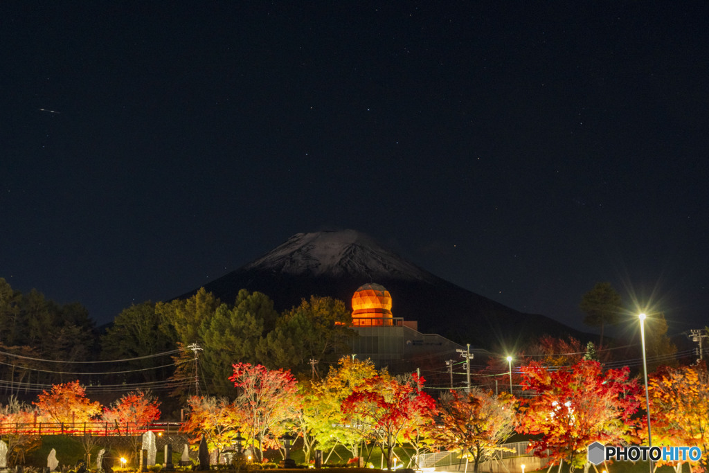 富士山ミュージアムの紅葉２