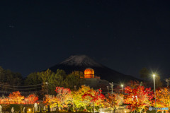富士山ミュージアムの紅葉２