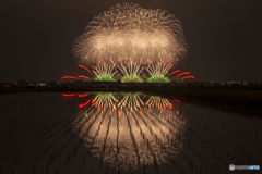 たまむら花火２