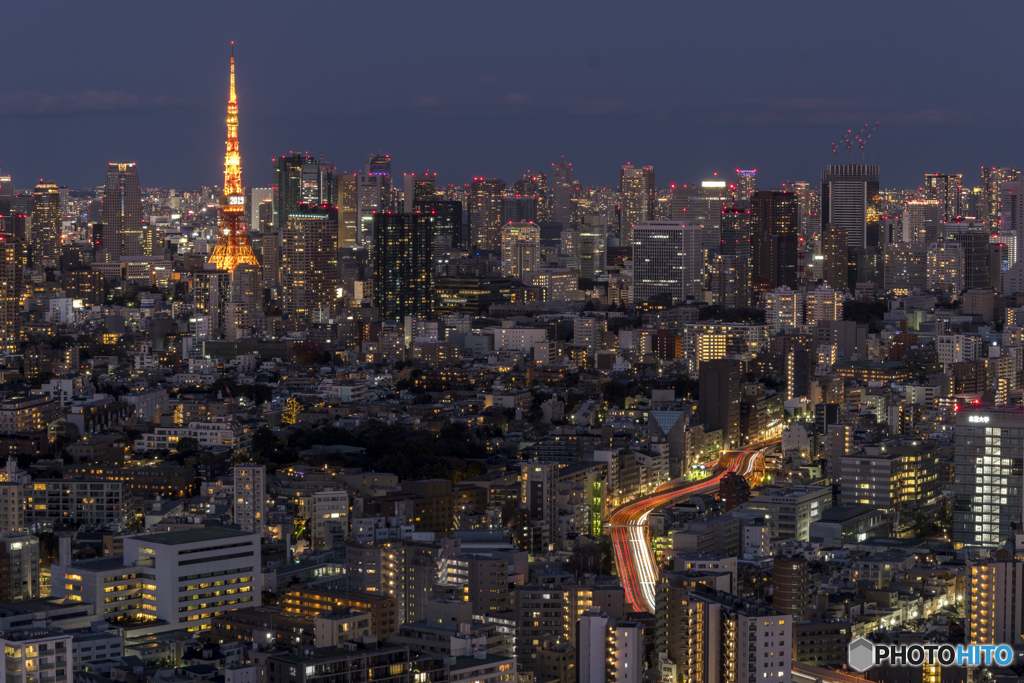 トワイライト2019