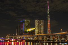 スカイツリーSDGｓ １７色ライトアップ２