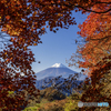 ハマイバの紅葉１