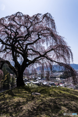 陰影