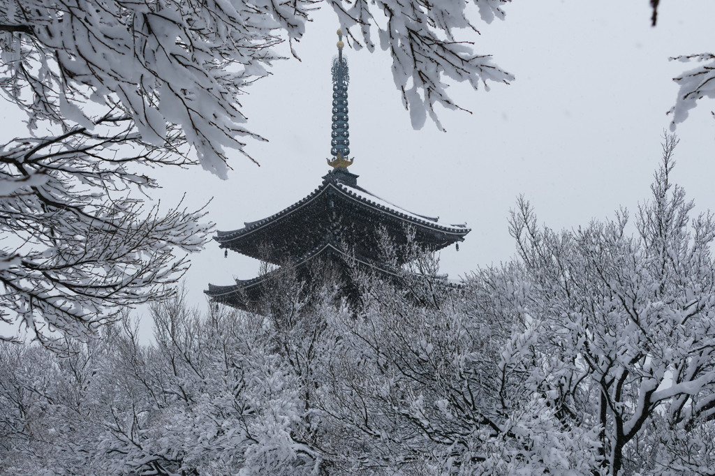 香林寺の冬