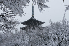 香林寺の冬