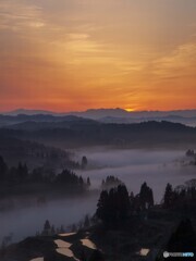 農村の夜明け