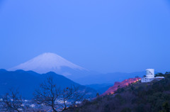 松田山