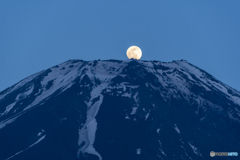 ５月４日のパール富士