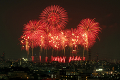 東京競馬場花火2025