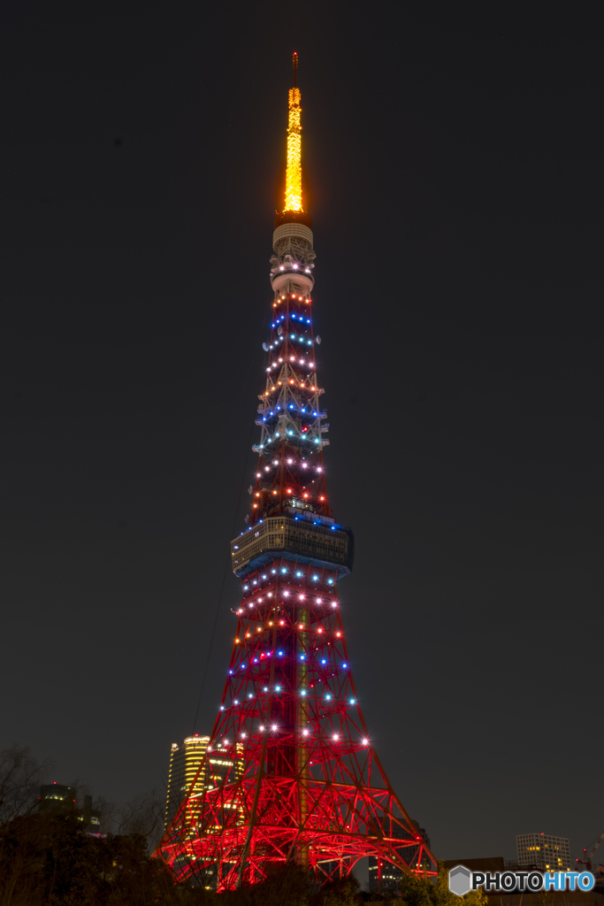 東京マラソン記念ダイヤモンドヴェール