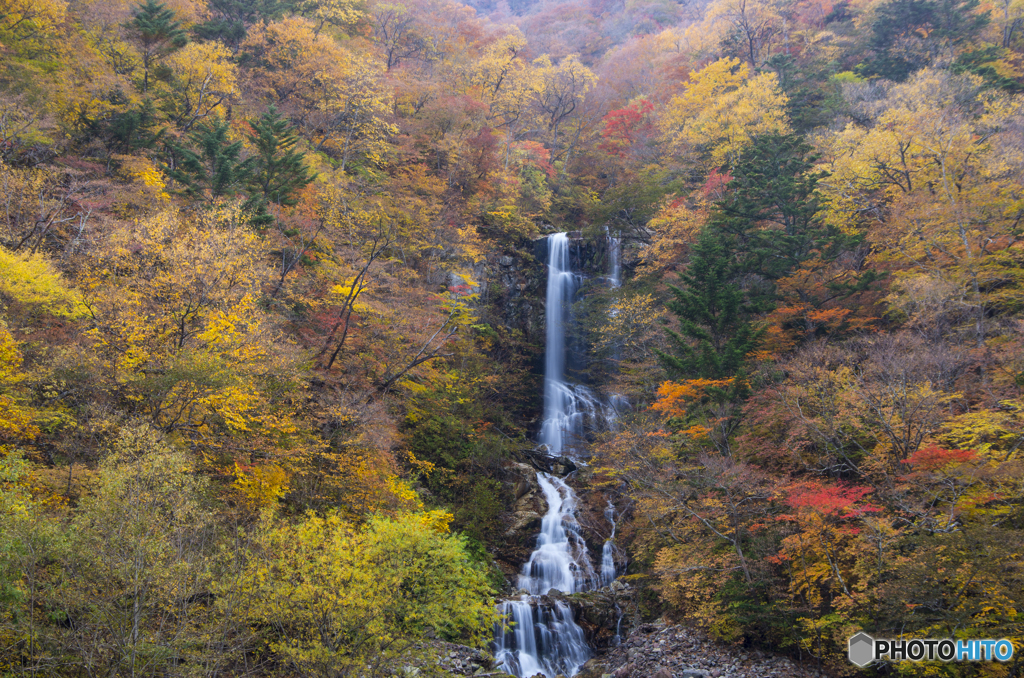 秋の滝