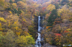 秋の滝