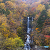 秋の滝