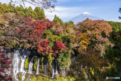 白糸の滝