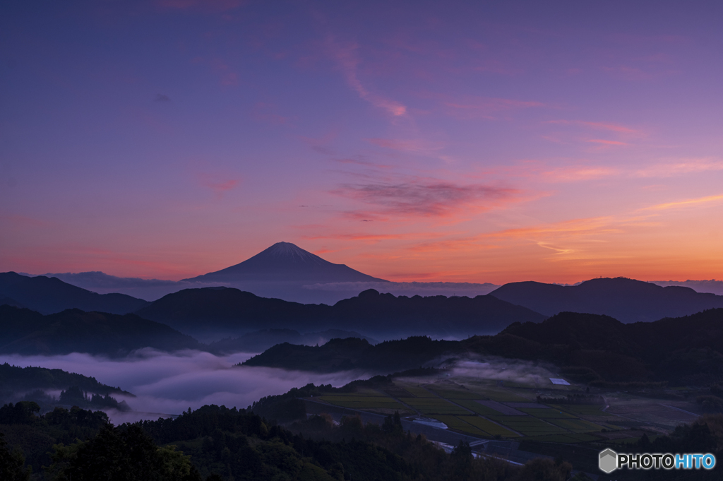 茶畑の夜明け