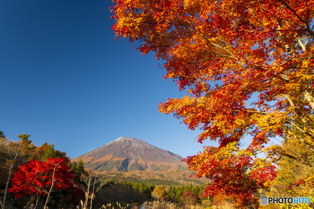 西臼塚の紅葉