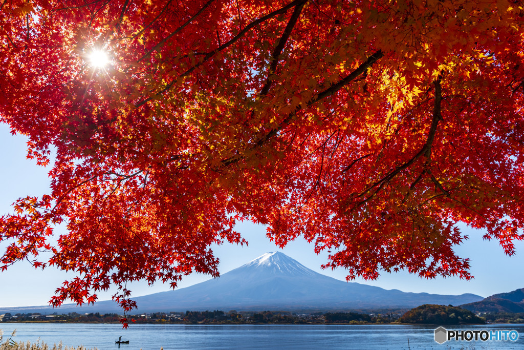 2025河口湖紅葉３