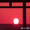 ダルマ太陽