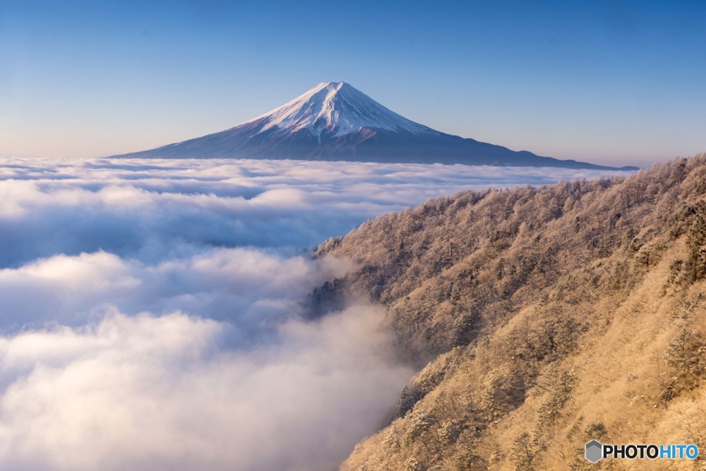 朝日差す霧氷