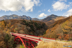 八ヶ岳の紅葉