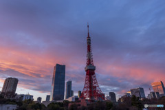 1月2日の東京タワー