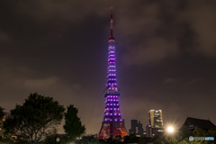 東京タワーを安室カラーに
