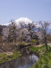 春景色