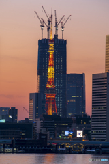 タワーとマンション