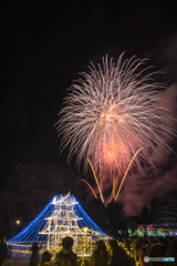 昭和記念公園 冬花火