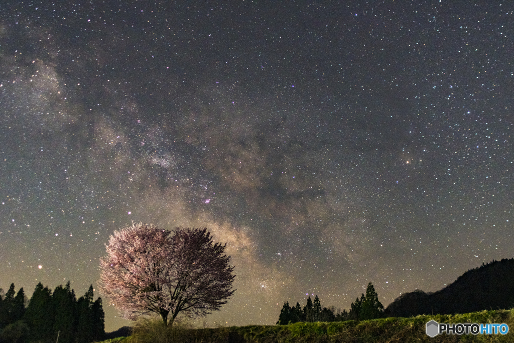 桜と天の川